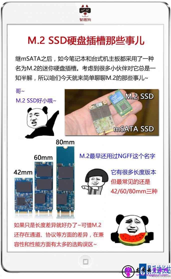 NVMe SSD是什么？5张图让你明白SSD那些事